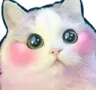 lcat