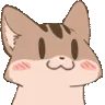 cutecat cutecat