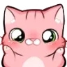 pinkcat