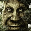 treewise