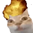 annytfErmExplode annytfErmExplode