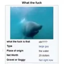 creature
