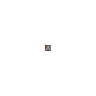 ca32zoom