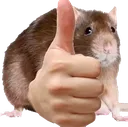 RatApprob