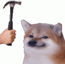 dogebonk