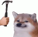 dogebonk