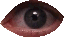 eye~5 Discord Emoji