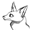 billieeyelash billieeyelash