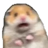 ScaredHamster ScaredHamster