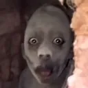 uh