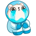 spacebear_sad Discord Emoji