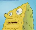 DrySponge