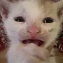 Despair