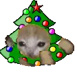 Xmascatrun