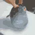 PufferBouncy PufferBouncy