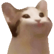 CatOMEGALUL Discord Emoji