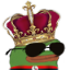 :pepe_star: