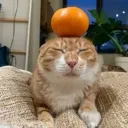 orang
