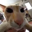 fuwud