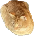 gx_loaf gx_loaf