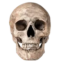 skul