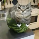 Meloncat meloncat Discord Emoji