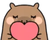 capylove