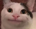 Catsmile Discord emoji