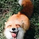 happyfox