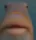 rarefish
