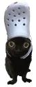 croccat