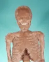 bridgetskele