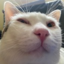 thub Discord emoji