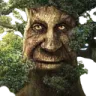 wisemysticaltwee
