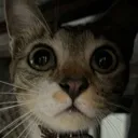 eyeeye