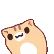 NeWiggle