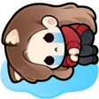 inzSuffer