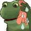FrogWorry Discord Emoji