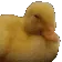 duck_smh_lex duck_smh_lex