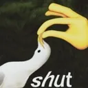 shut