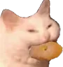 echbagel