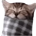 Sleep