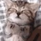 Sleepy