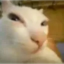 Ok