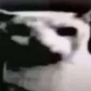 562