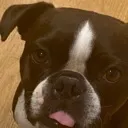 jobruh