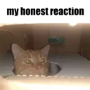 honestreaction honestreaction