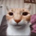 my_reaction