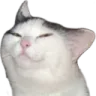CatSus