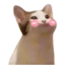 popcat_blush Discord Emoji